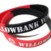 Willowbank by www.Promo-bands.co.uk