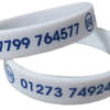 ISE wristbands by www.Promo-Bands.co.uk